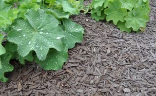 Das sind unsere Gala Deko Stixx in anthrazit